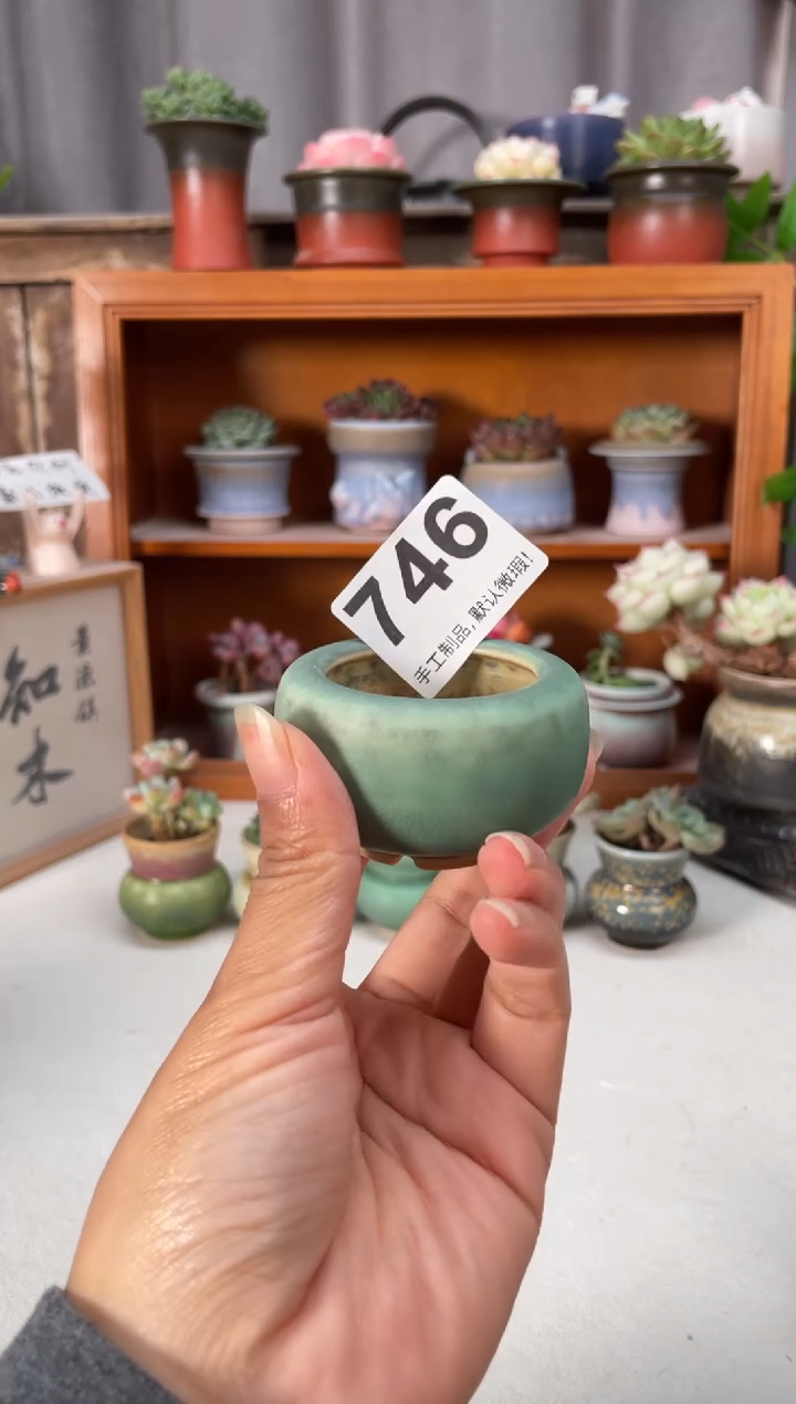瓷片746知木小芳花盆编号