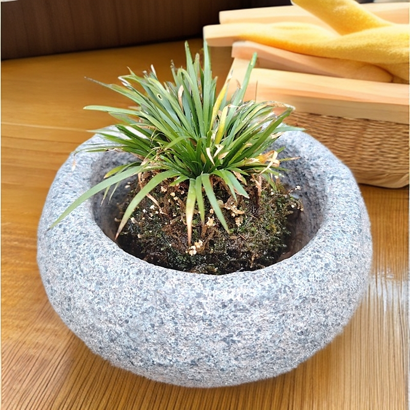 中式复古仿真石臼石花盆摆件适合庭院菖蒲石斛多肉等多种植物盆栽