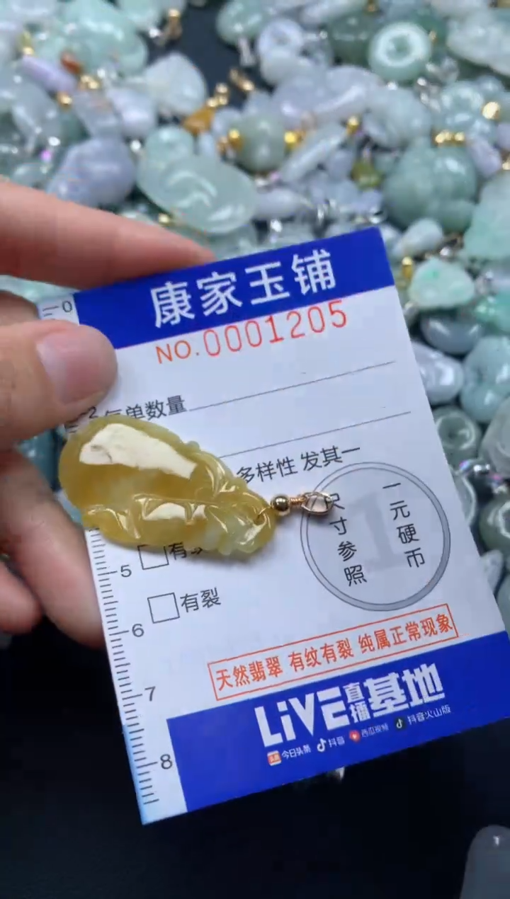 颈饰未镶嵌翡翠1205