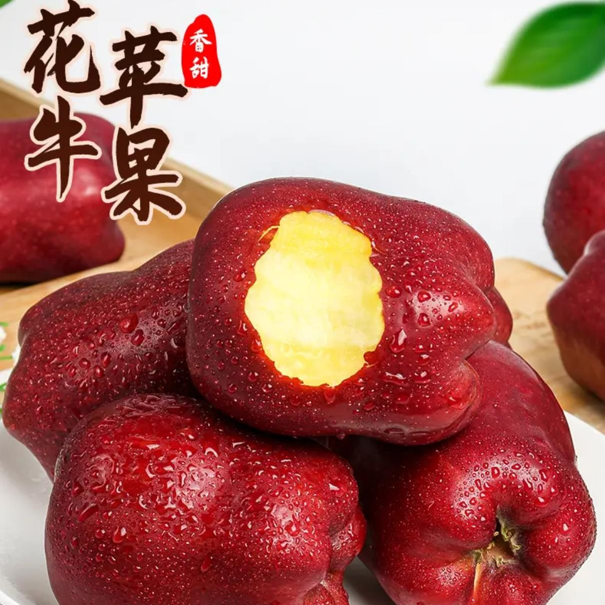 【坏果包赔】甘肃天水花牛苹果新鲜水果脆甜宝宝老人粉面两吃蛇果