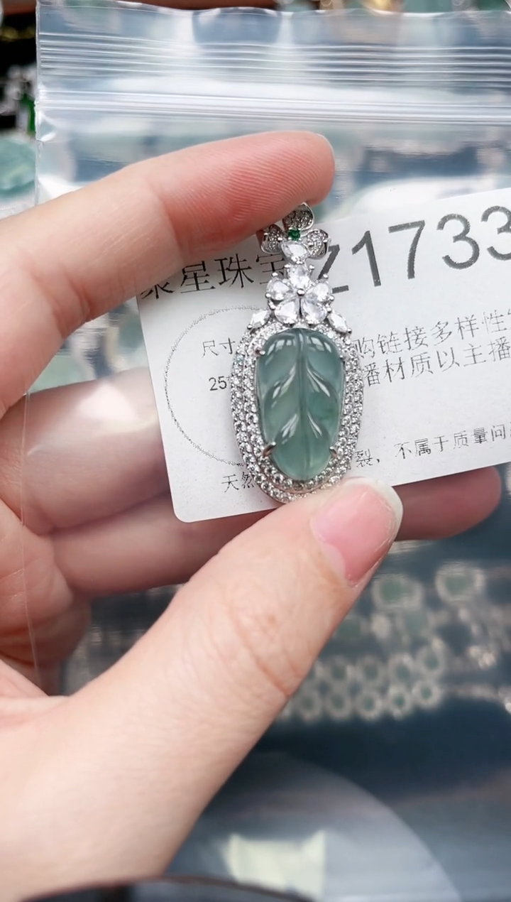 【闪购商品】翡翠颈饰未镶嵌赠皮绳1733