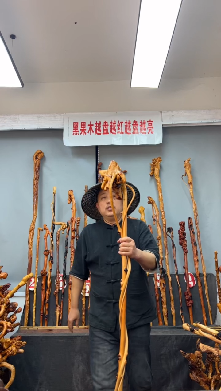 【闪购商品】黑果木其他黑果木610