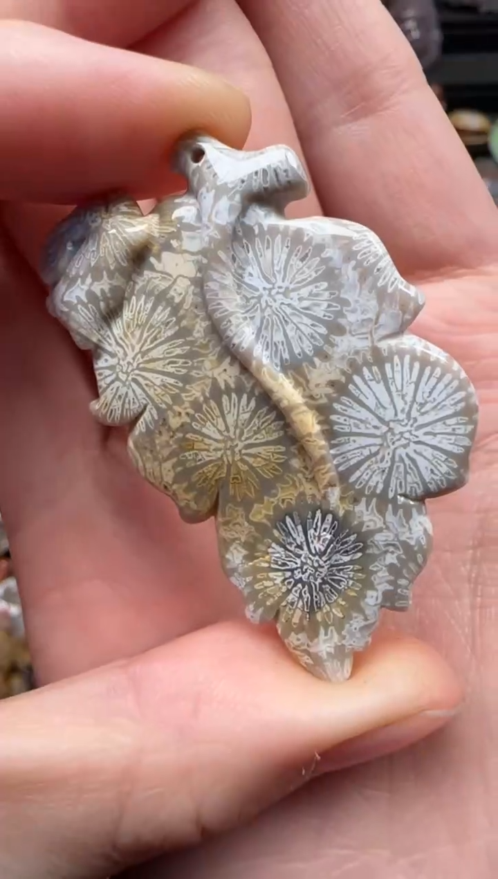 颈饰未镶嵌硅化珊瑚（珊瑚玉）791