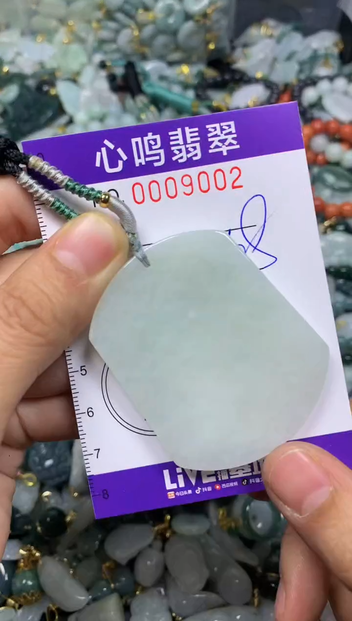 【闪购商品】翡翠颈饰未镶嵌闪购009002