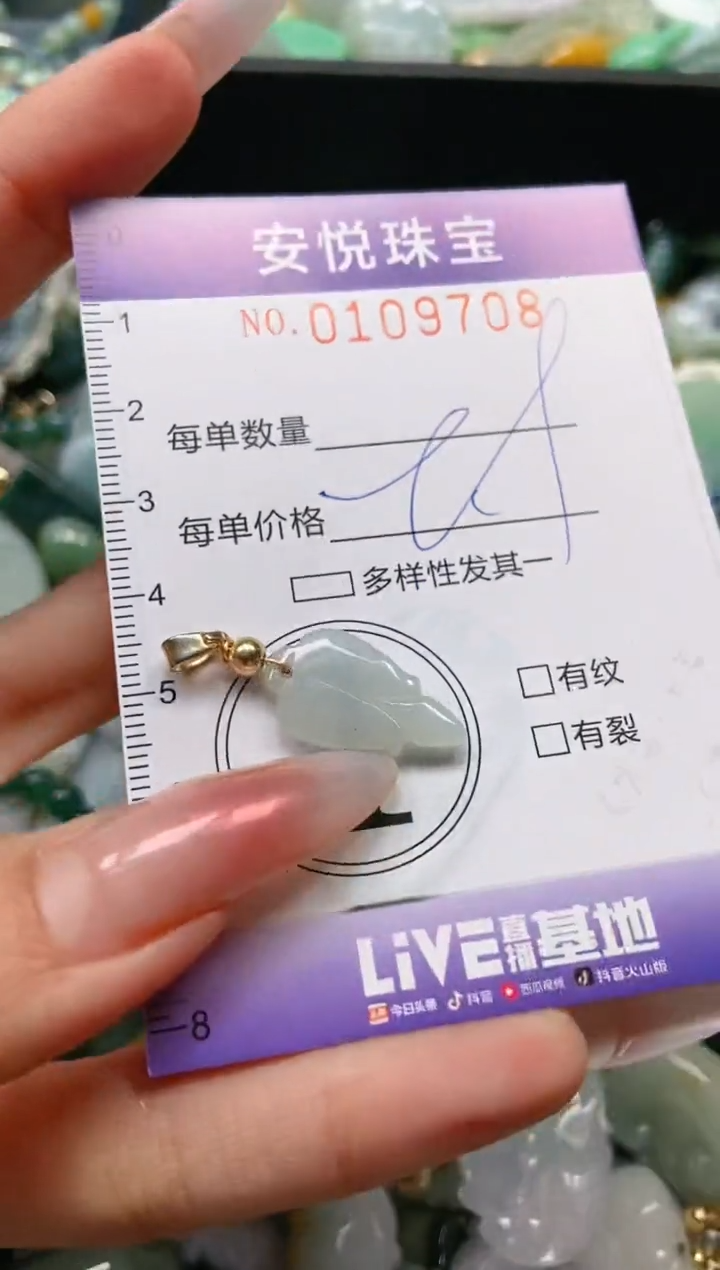 【闪购商品】翡翠颈饰未镶嵌闪购0109708