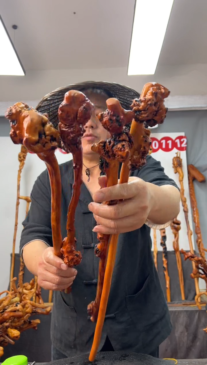 黑果木其他黑果木736