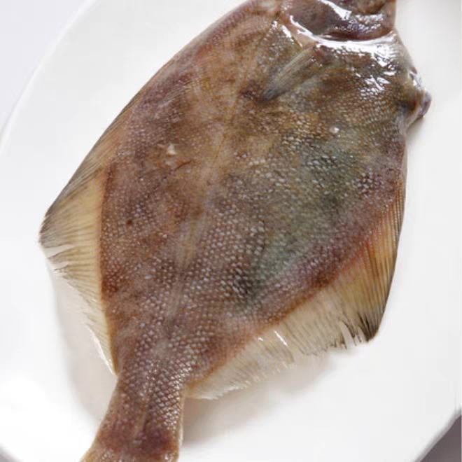 大连野生新鲜偏口鱼比目鱼顺丰包邮肉质鲜嫩速冻发货