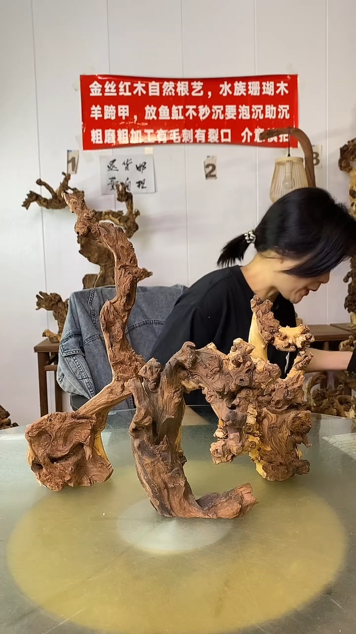 香榧木大*督金丝红木 羊蹄甲3
