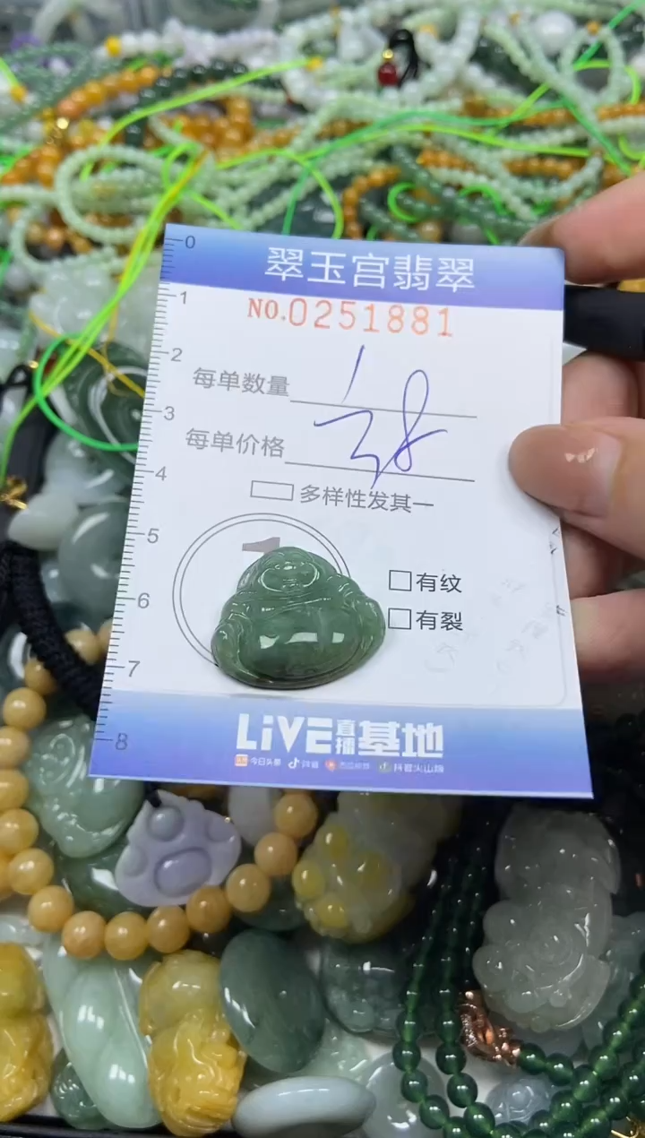 颈饰未镶嵌翡翠闪购C0251881