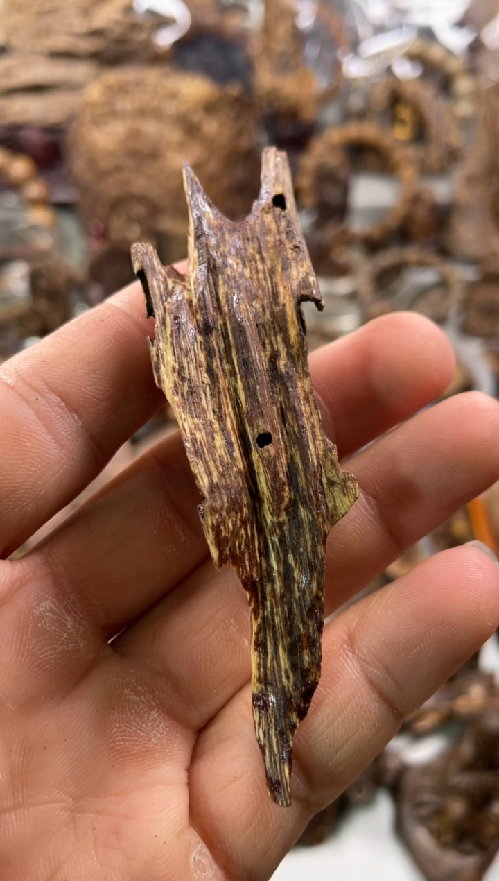 沉香沉香碎屑沉香  越南芽庄4.5