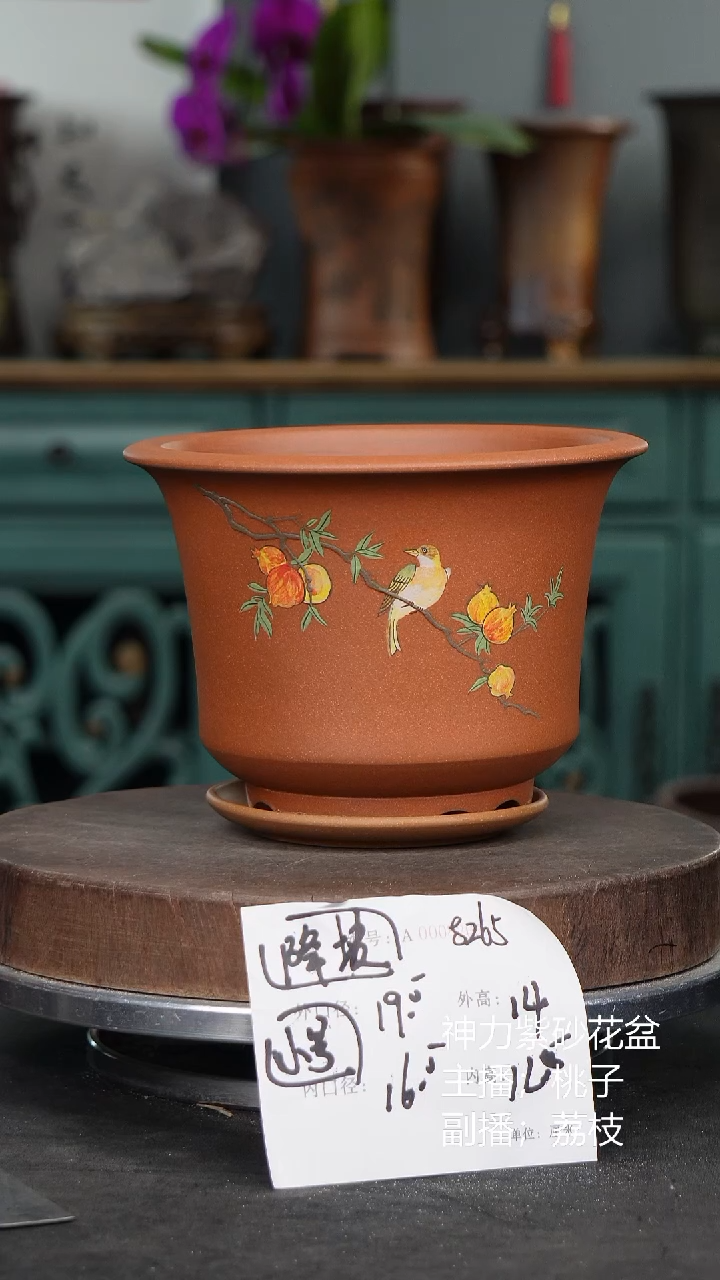 紫砂花盆8265+z紫砂花盆