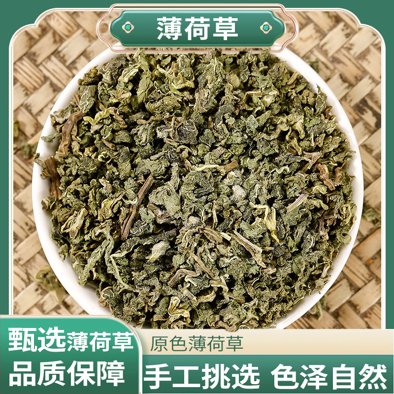 正宗精选好货【薄荷草】【薄荷叶】