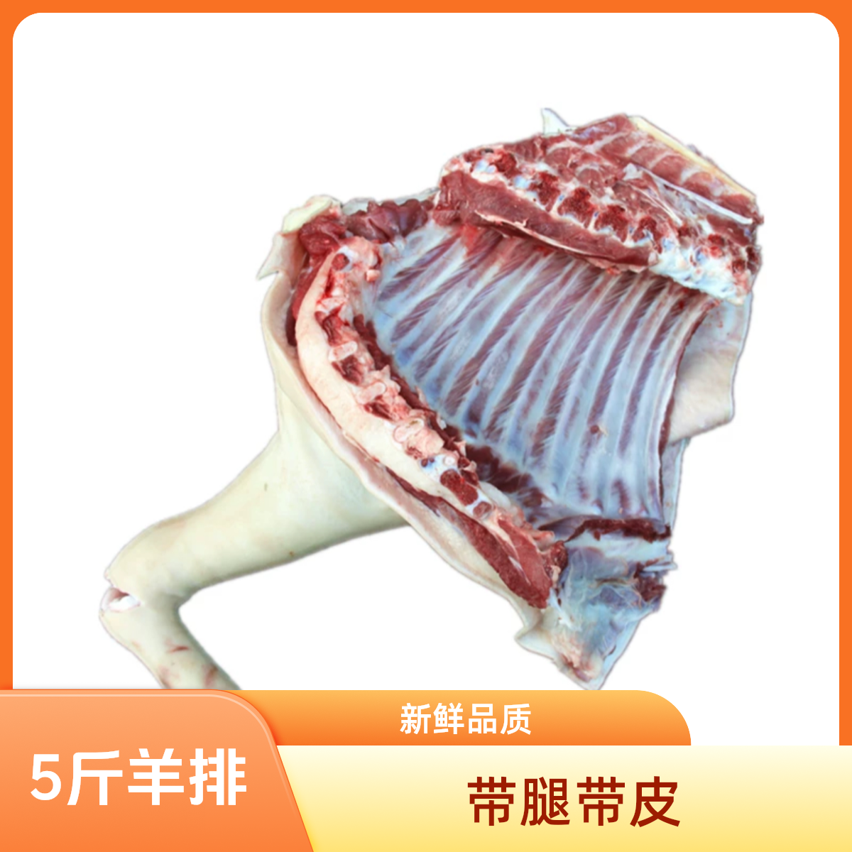 【羊排】5斤装 带皮带前腿羊排 纯排随机发货 