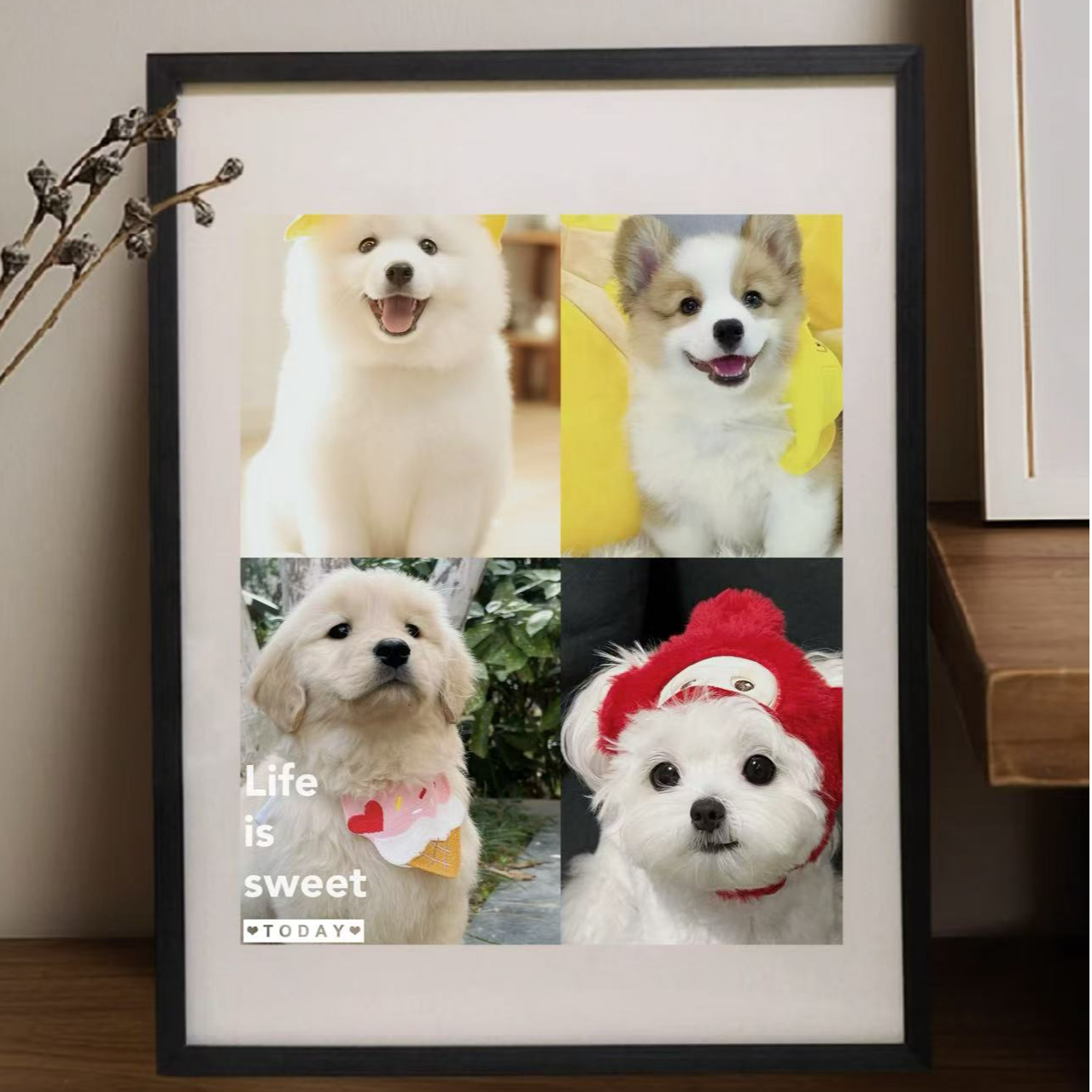 通用宠物狗狗相册定金