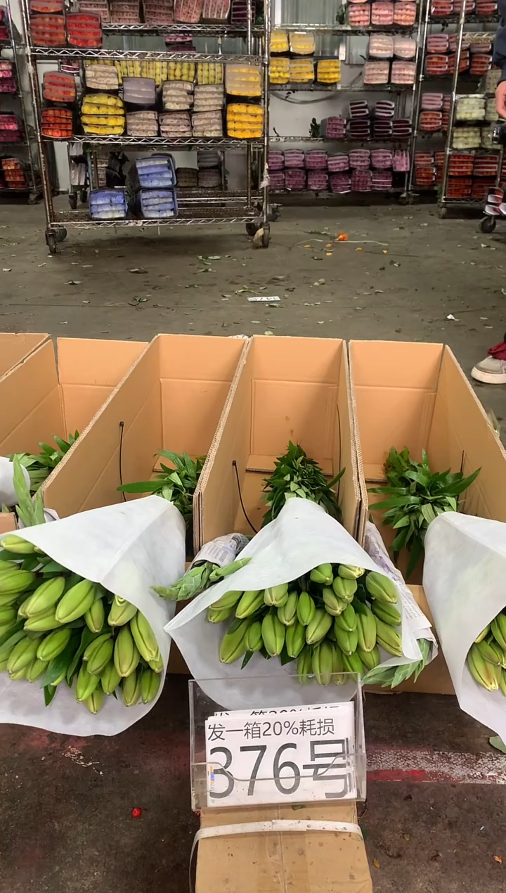 376号♥中通含20%耗损发一箱鲜花