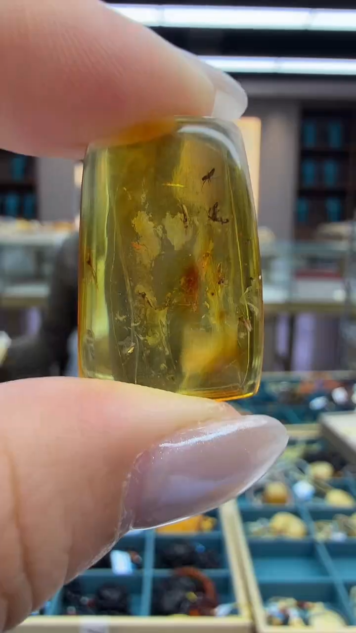 琥珀颈饰未镶嵌69秒拍号 假一罚三 