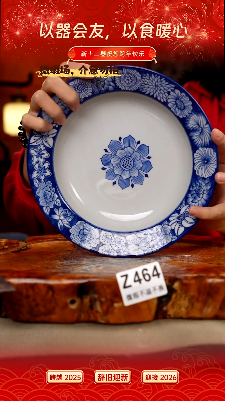 其他WZ464新十二器瓷器