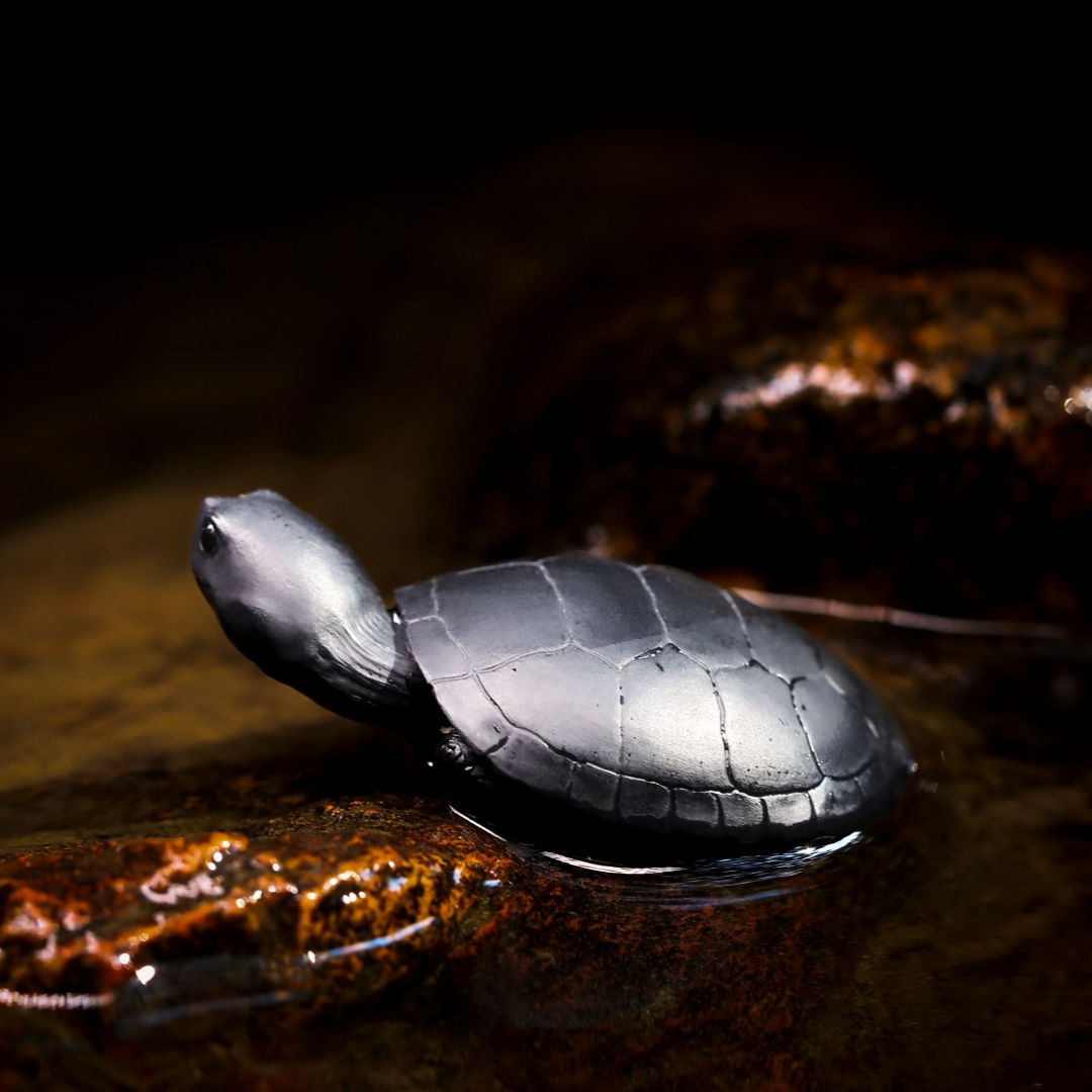 佳佳和田玉动物园系列-沼泽侧颈龟