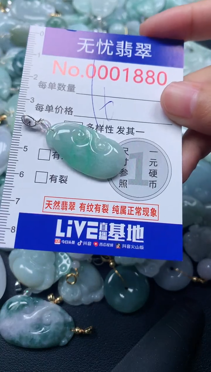 颈饰未镶嵌翡翠1880
