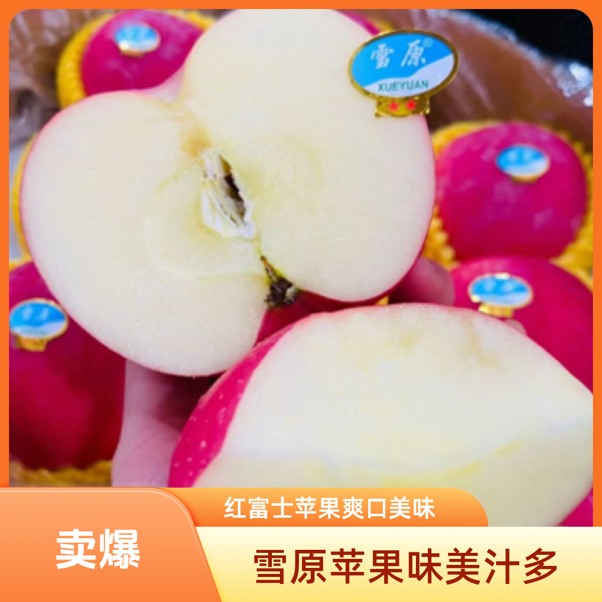 甘肃雪原苹果6个装（约2.5斤）