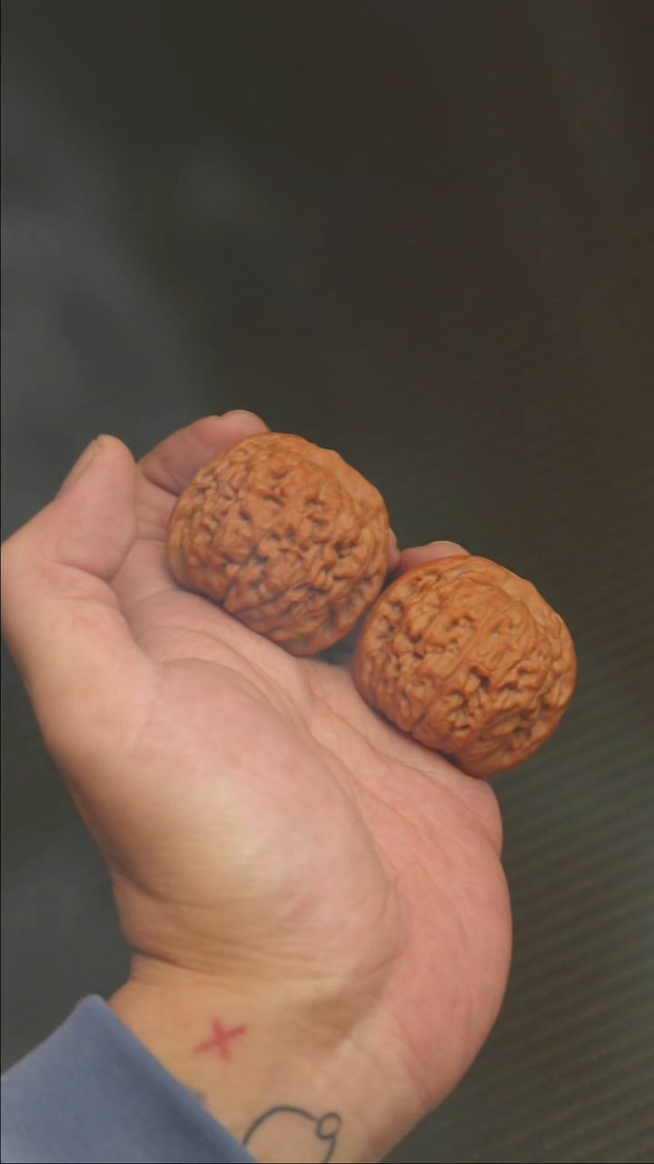 2025核桃季精品莲花41.5