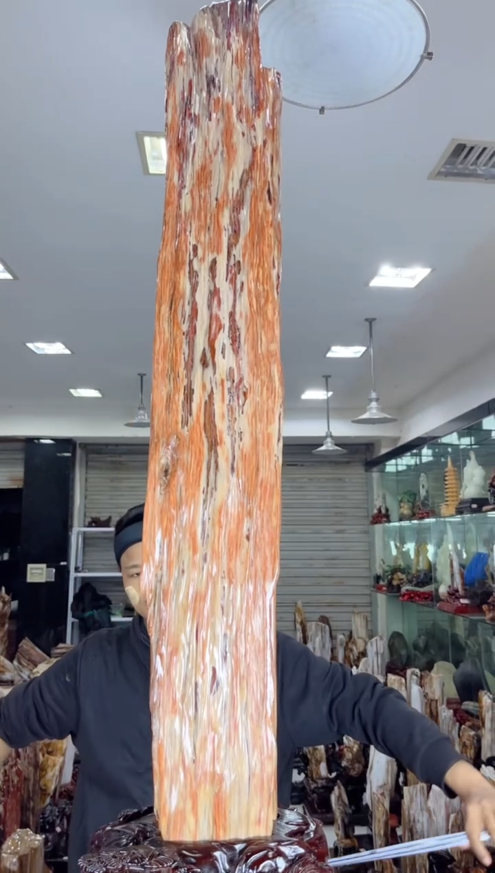 【闪购商品】硅化玉珠宝奇石未镶嵌缅甸天然树化玉