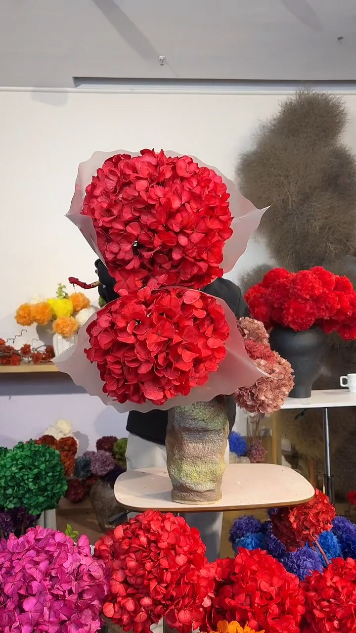 121  吸色永生大叶绣球2枝  红