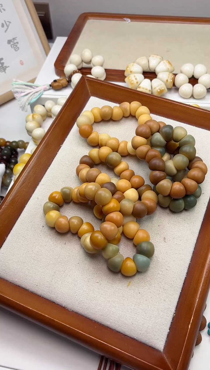 手串菩提根/象牙果沐g87干磨蒜瓣大肠18mm手串瑕疵不补随机