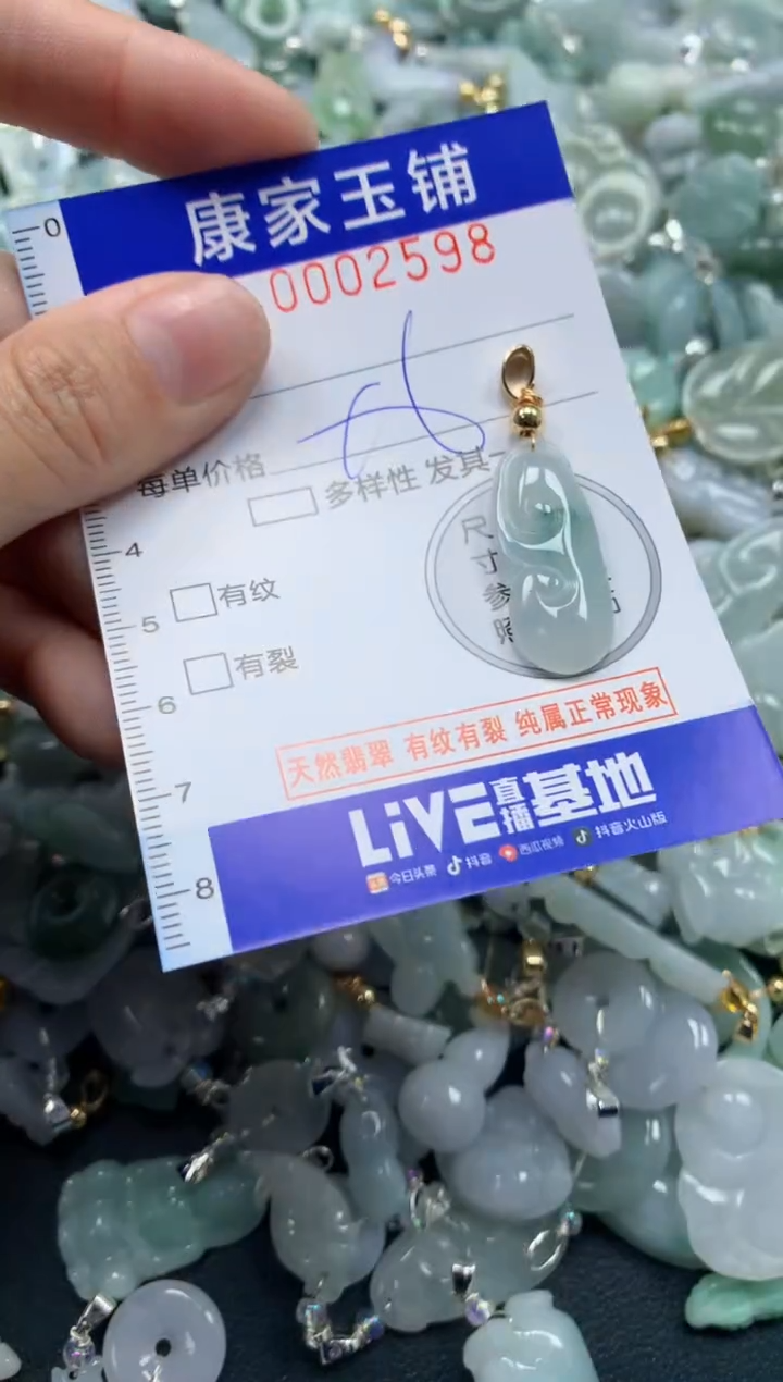 颈饰未镶嵌翡翠2598