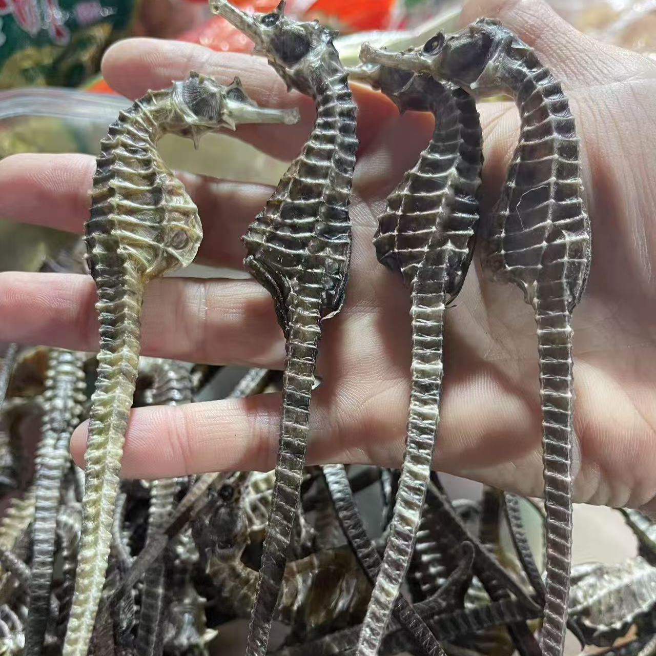 湛江 精选马仔材料煲汤干货（百干）