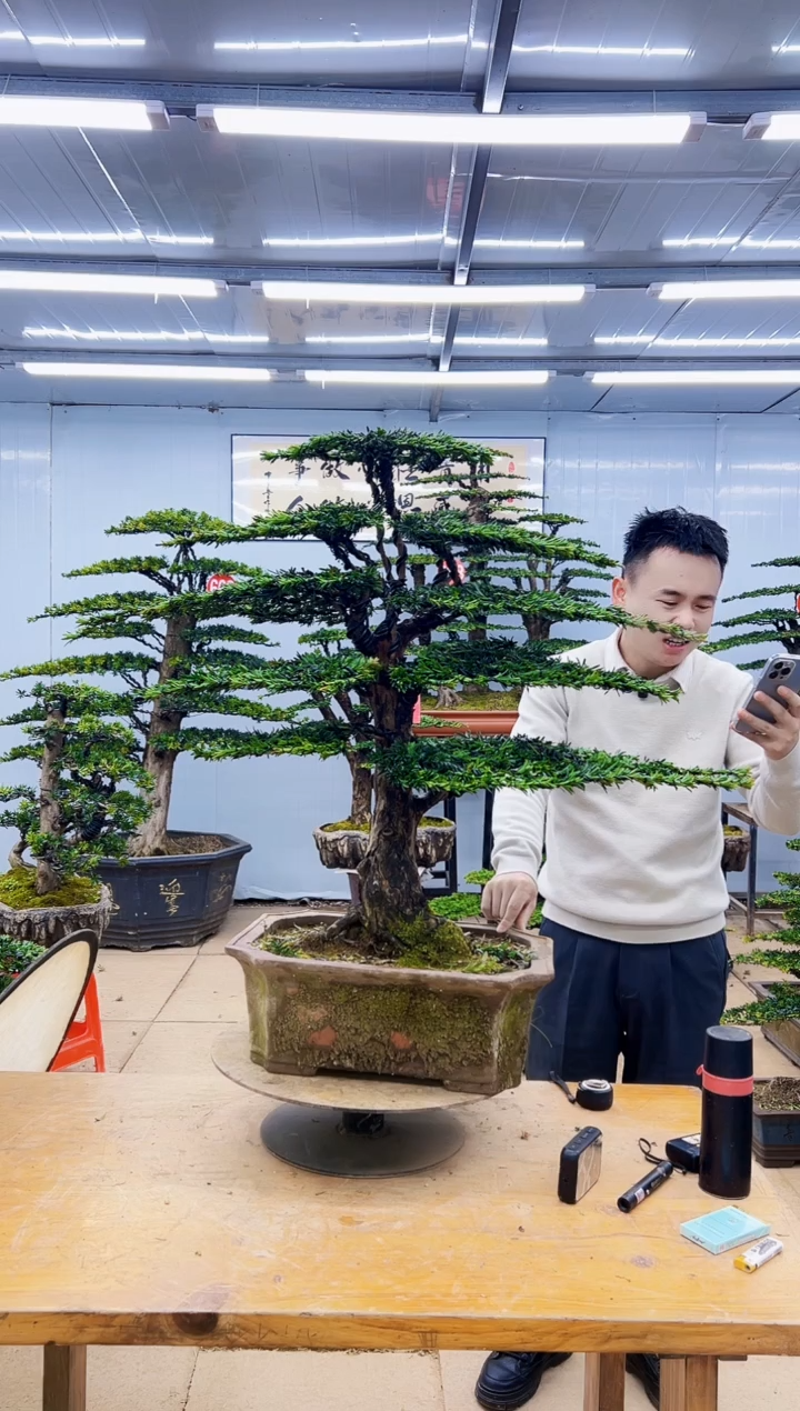 以实际为准0000000000000000000
