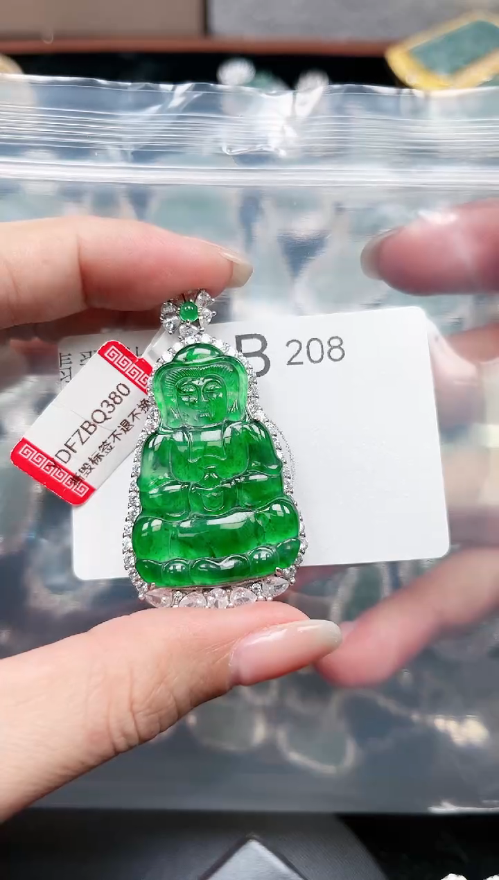 【闪购商品】翡翠颈饰未镶嵌208赠皮绳