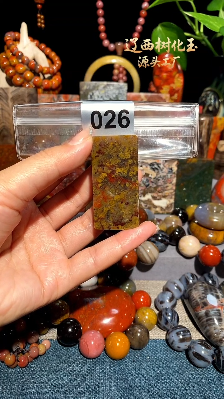 未镶嵌-硅化玉天然北票硅化玉吊坠