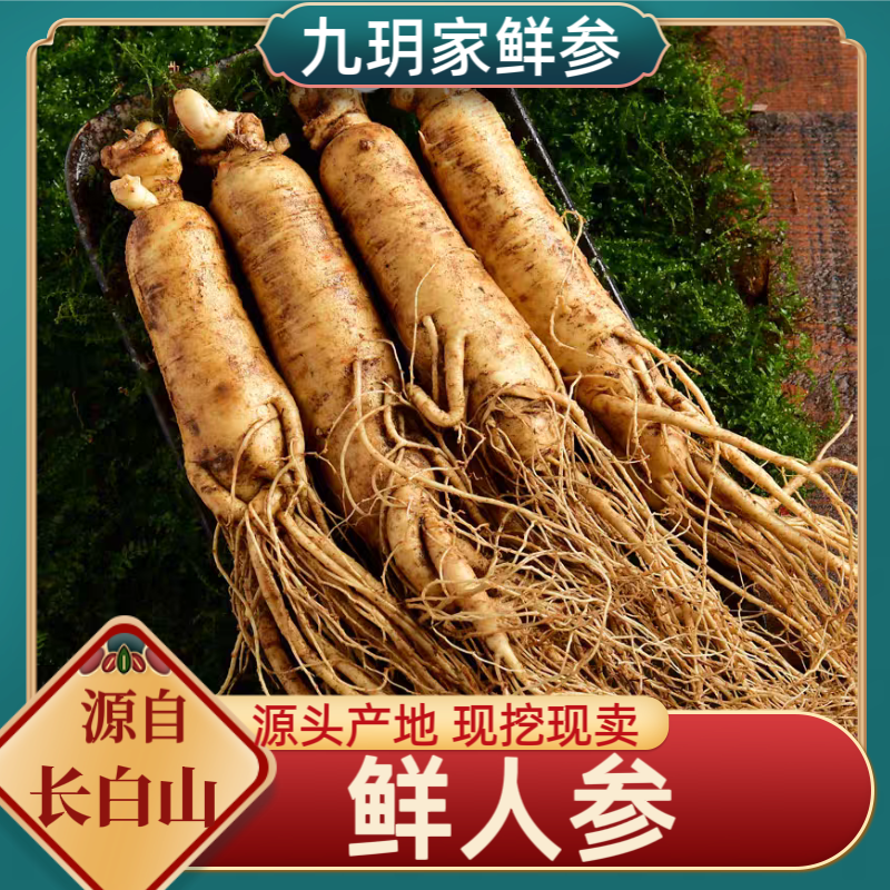 长白山新鲜人参 单支35-40克左右 12-15支 1斤装现挖现卖空运到家