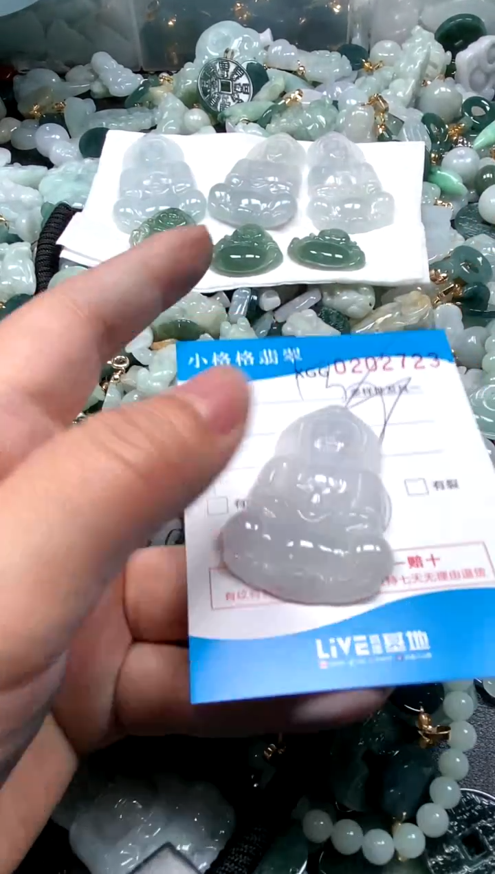 【闪购商品】翡翠颈饰未镶嵌闪购商品0202723