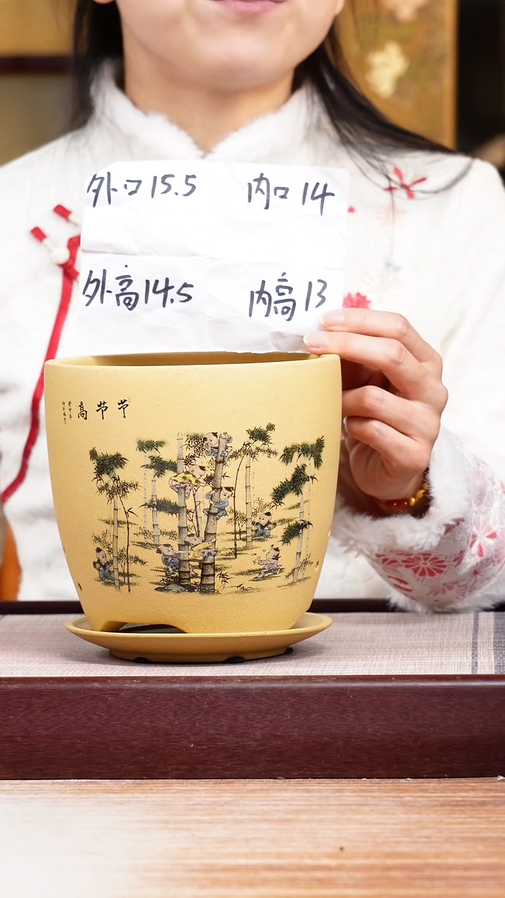 紫砂花盆节节高-段泥君子兰2号一只带托