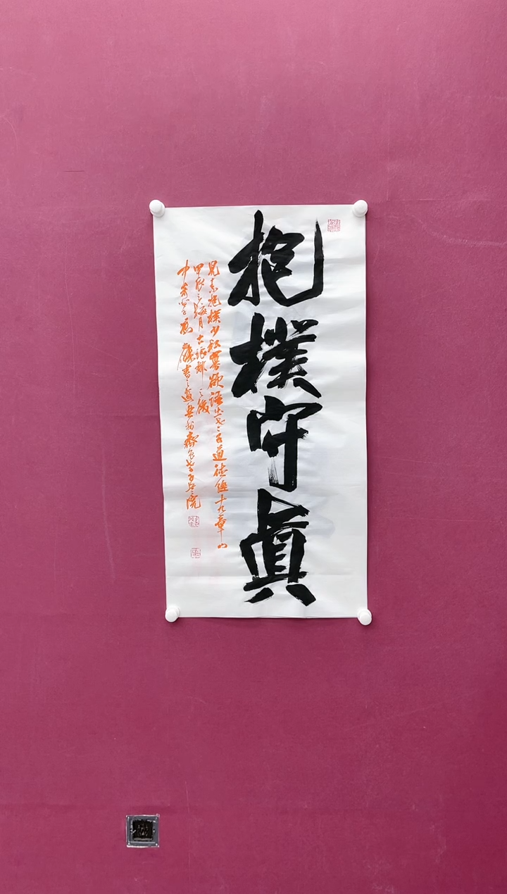 【闪购商品】书法抱朴守真书法作品
