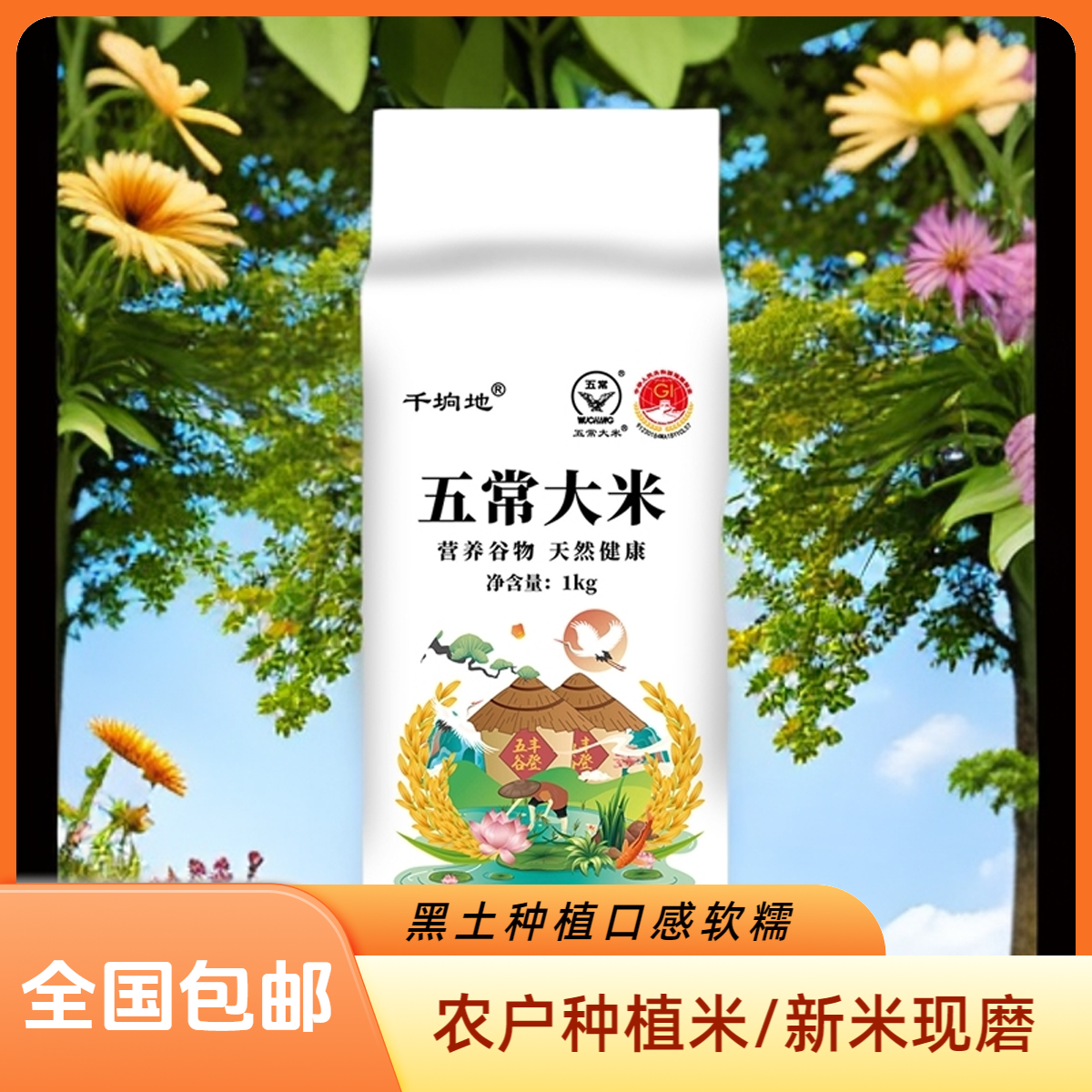 【黑土稻场】五常大米黑土种植软糯劲道GB/T19266农户新米现磨