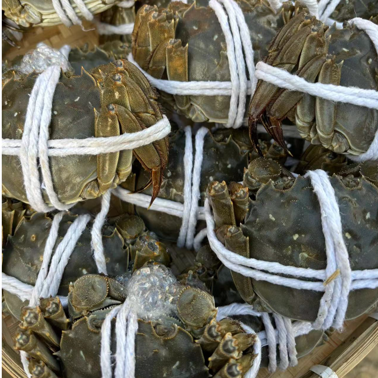 【活蟹】巢湖大闸蟹全母蟹3两6/8/10只 顺丰包邮死蟹无黄包赔