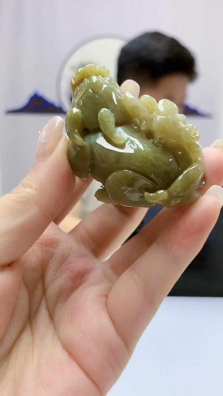 定制翡翠未镶嵌4917ms-毛货19貔貅