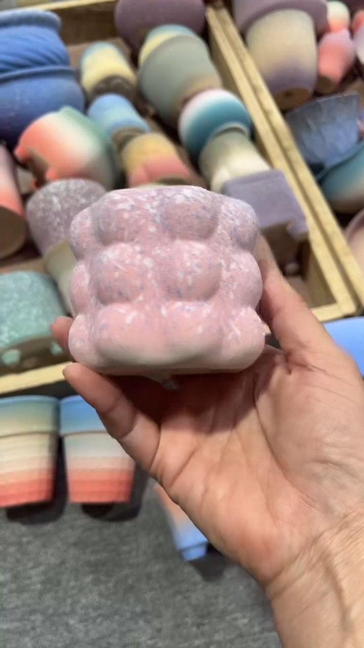 【闪购商品】红陶6*6