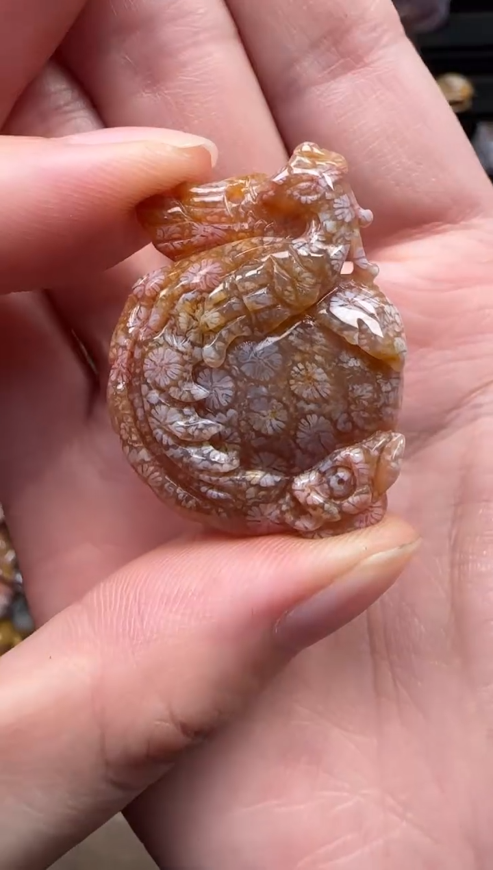 颈饰未镶嵌硅化珊瑚（珊瑚玉）116