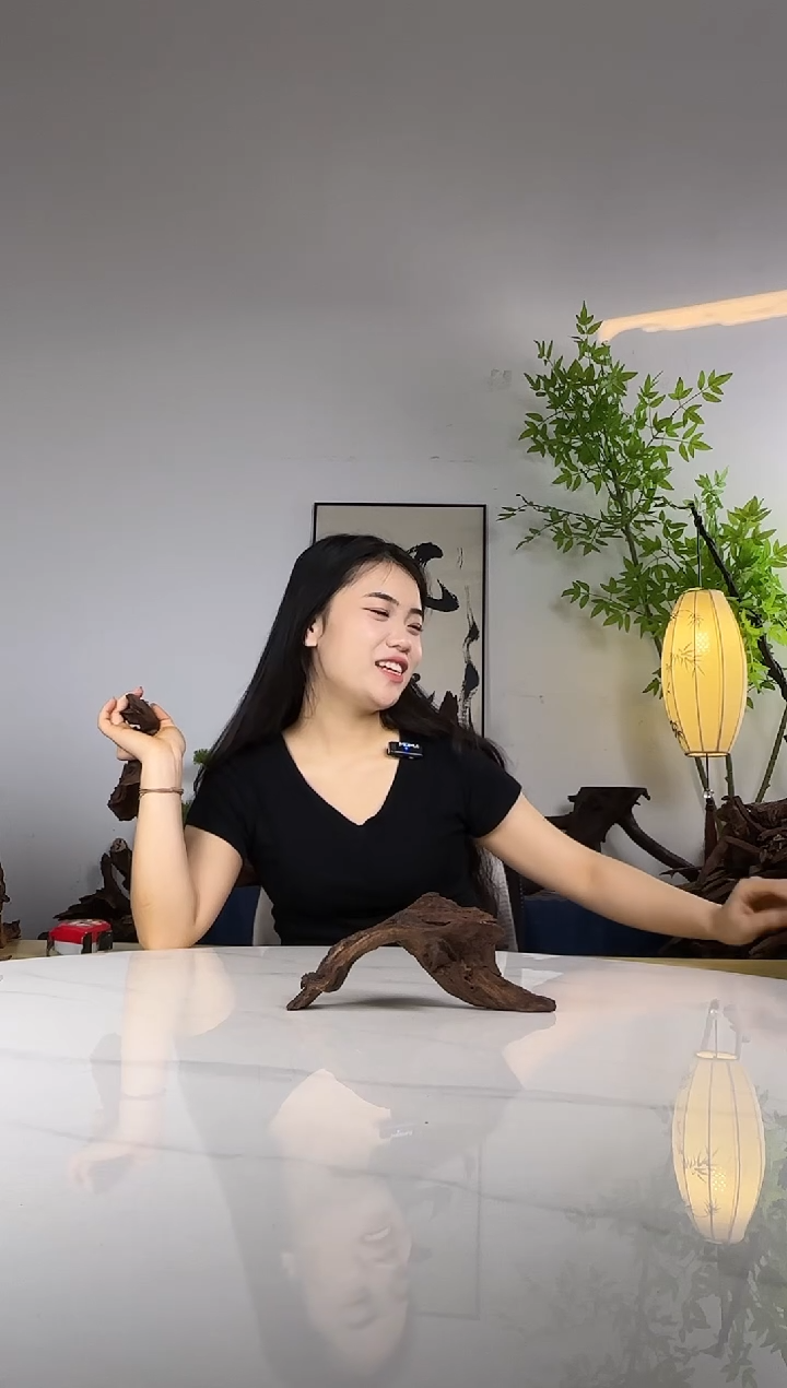 全****。拍沉木定向链接编号1