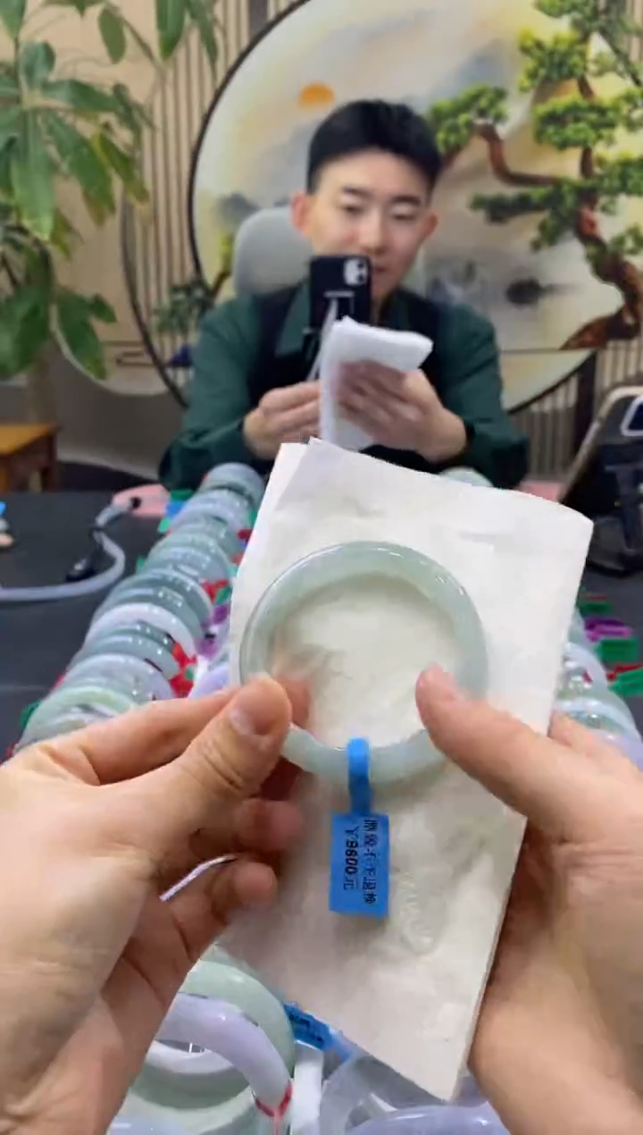 未镶嵌手镯翡翠3456