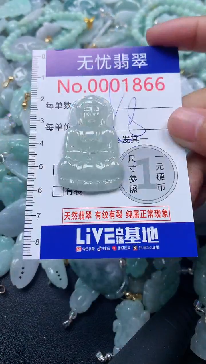 颈饰未镶嵌翡翠1866