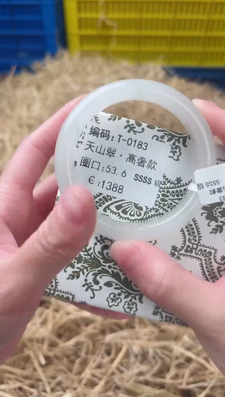 未镶嵌手镯石英质玉T-0183