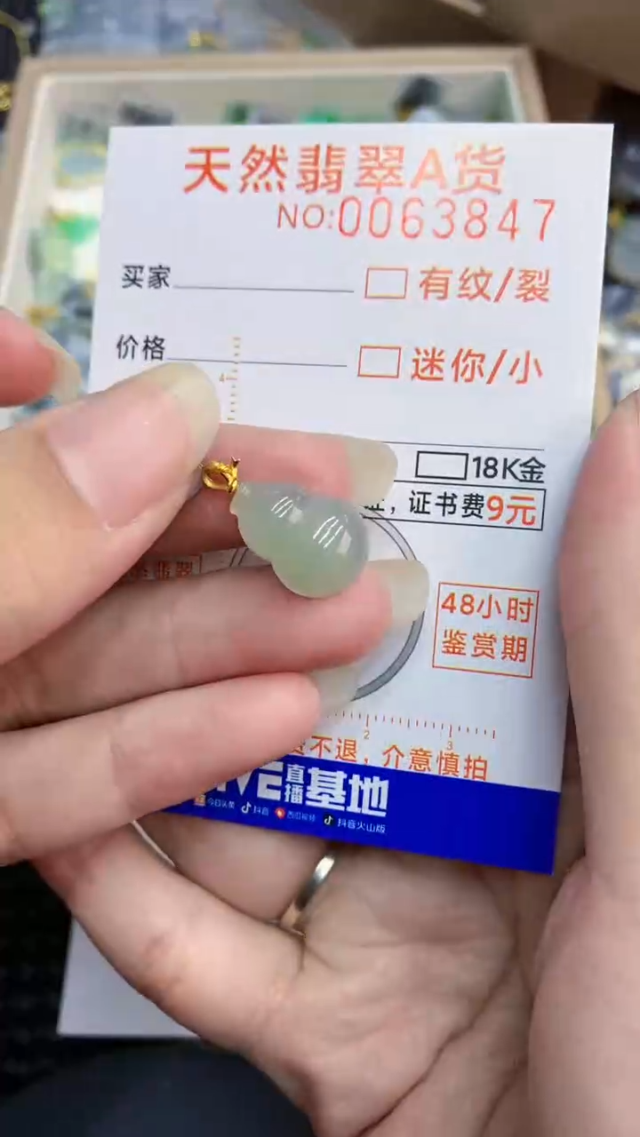 【闪购商品】翡翠颈饰18K金镶嵌           8