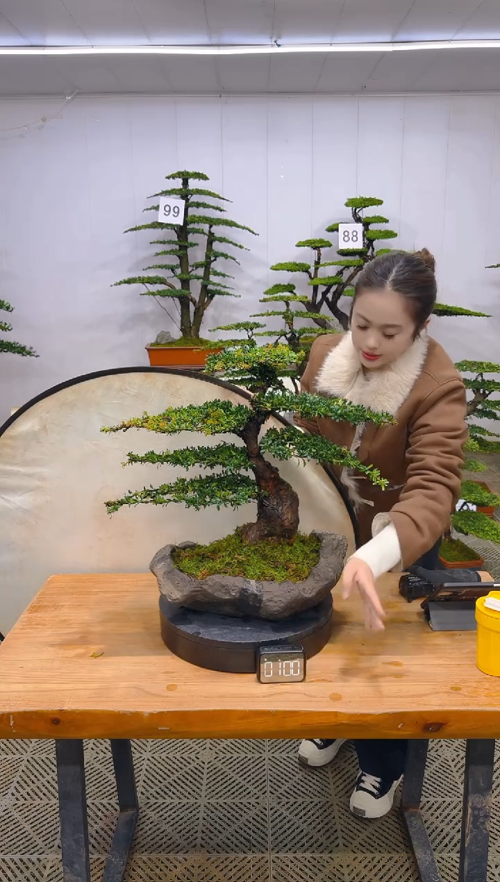 无花朵一物一拍一物一拍