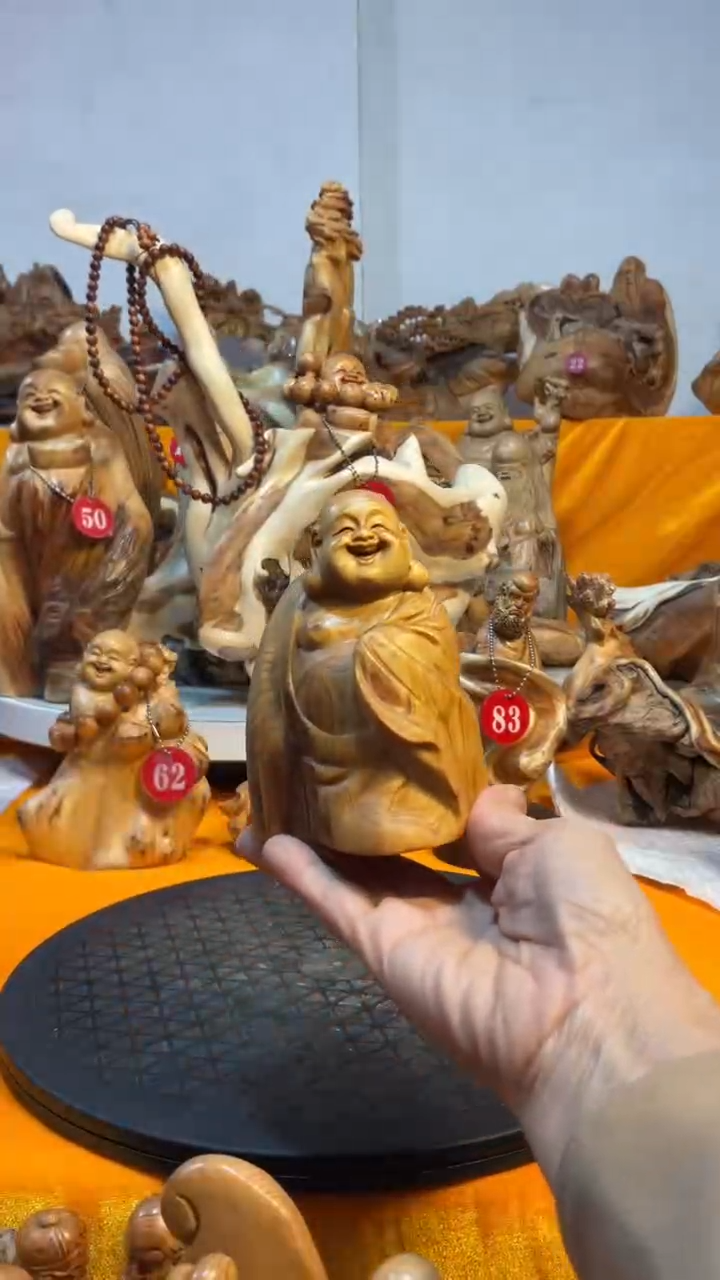 柏木（崖柏）  弥勒