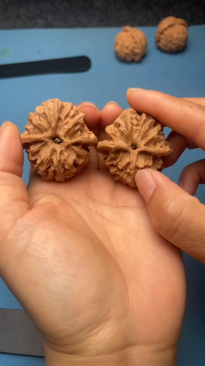 桃核把件w  20  苹果园 40尺